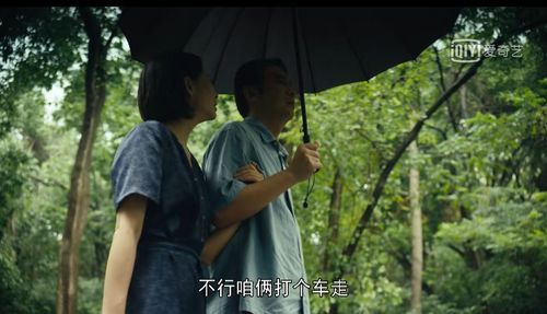 霍少娇妻太嚣张，钟熙与王寒阳的恩怨情仇（第80集）