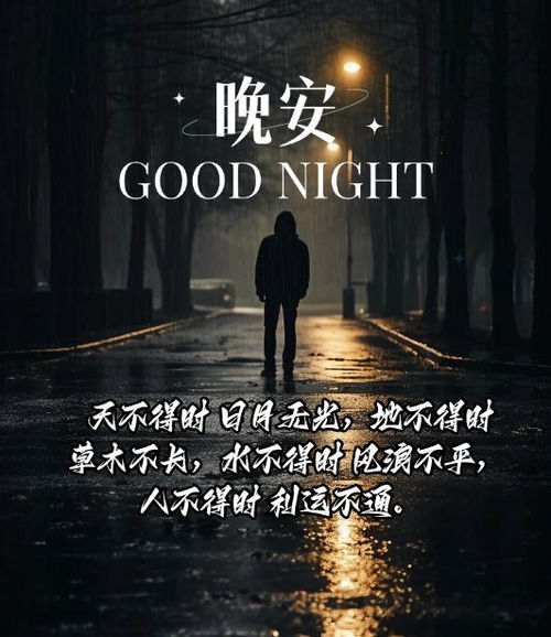 破产之后，逆境中的重生与希望