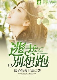 强势锁婚，傲娇总裁别想跑