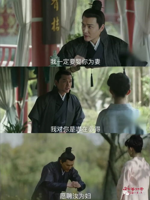 宠妻狂魔，顾总被夫人包养了