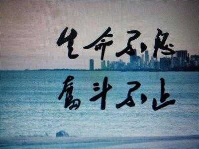 平步青云，一部跨越百年的奋斗史诗（100集）