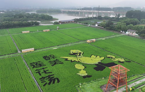 各地加紧春季农业生产，助力农业高质量发展