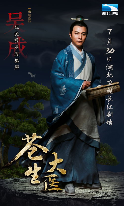全能小医仙，医术超群，仁心无限的传奇