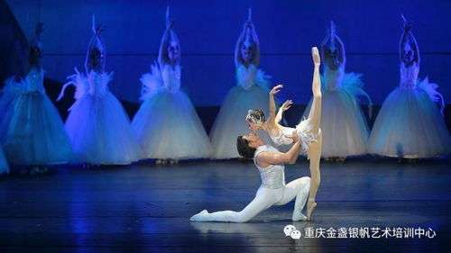 爱的独角戏（第43集），情感的交织与重逢的喜悦