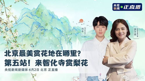 春风许我再少年，任燕的重生与成长（51集剧情解析）