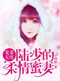 傅先生宠妻无度（94集）