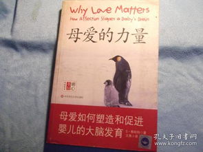 为母则刚（80集）之伟大母爱的力量