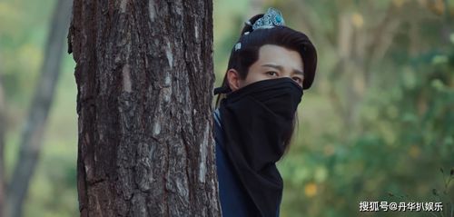 偏执大佬的病娇小撩精（86集）