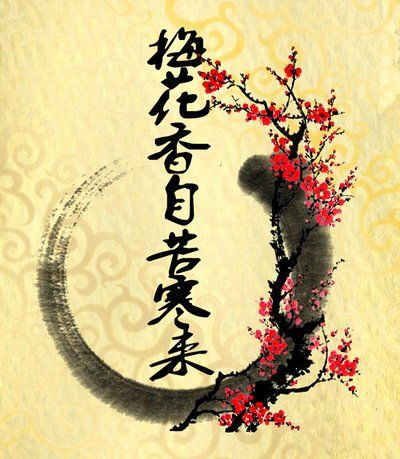 梅花香自苦寒来（64集）