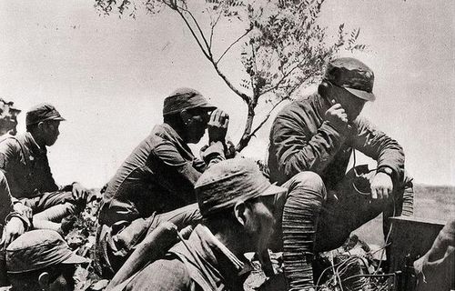 龙隐于田，老农父亲是大佬（79集）