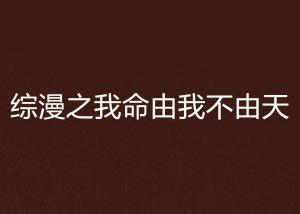 我命由我不由天（101集）深度解读与感悟