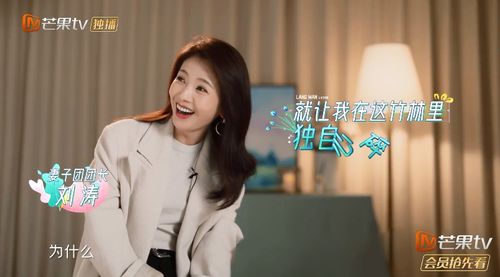 妻子的伪装（电视剧剧本）