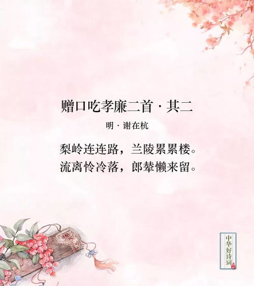 赠你一世情深，李胜楠的故事（一）