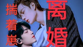 君少追妻记，挑战高冷夫人王子怡的深情征途（99集剧情概述）