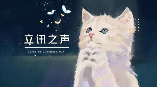 乘风破浪之真假千金（喵喵篇）——探寻命运波澜中的真假千金之谜（85集剧情解析）