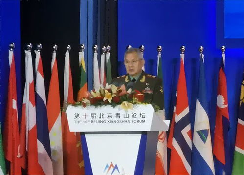 绍伊古访华，中俄两国战略对话的关键内容