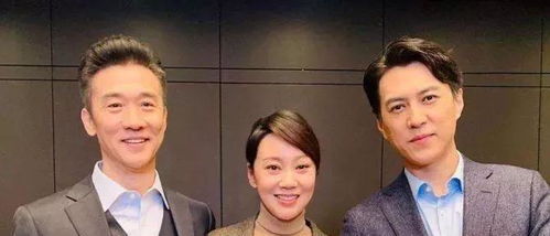 前妻逆袭司总别追了（第X集）剧情解析与深度探讨