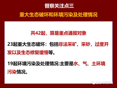 足疗圣手，深度解读与体验（91集）