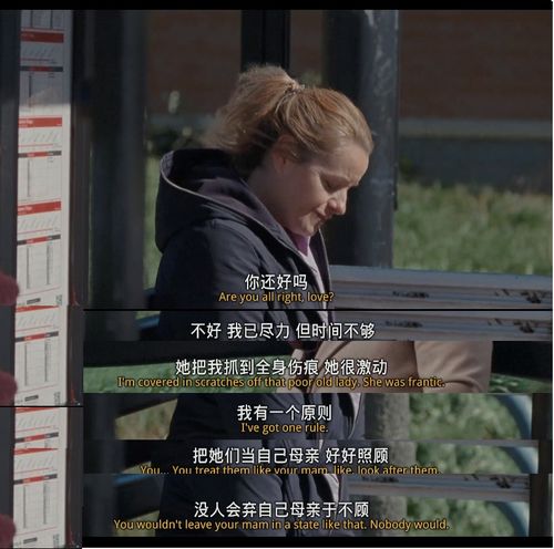 快递员逆袭人生，奋斗与荣耀的100集传奇故事