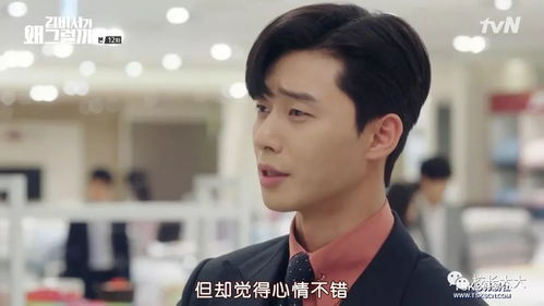慕少的甜妻秘书（100集）剧情解析与角色深度探讨