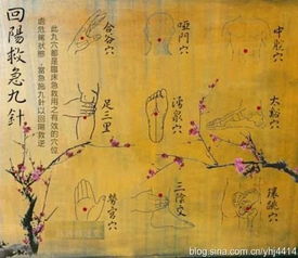 鬼门十三针，揭秘古老医术的奥秘（共81集深度解析）