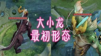 龙王出狱，终结与启示
