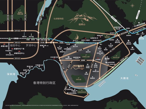 我和房东的秘密，我的美女室友，这个房客不一般