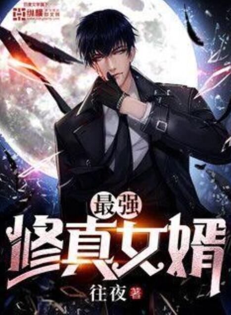 最强狂婿，逆袭之路的无畏风采