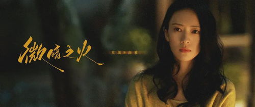 消失的妈咪，一部探寻真相与情感的悬疑剧