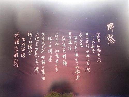 爱意终止，一场情感旅程的终结