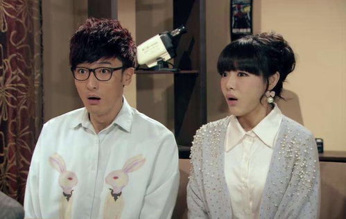 傅少的暖婚娇妻，爱情与生活的甜蜜交响曲