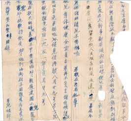 九十九封家书，震惊全国的感人故事（84集）