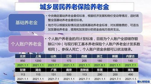 委员建议每年增加城乡居民养老金，推动社会福利进步的重要举措