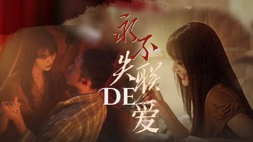新版缘来是你，深度解读一部跨越时空的情感传奇（77集）