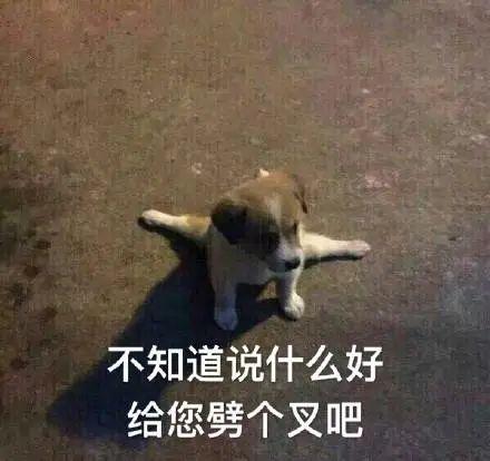 万幸与你相逢——王奕然的14个故事合集