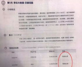 导游委托旅客携带70个玩偶入境被查，事件背后的反思与启示