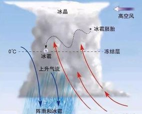广东现冰雹天气，AI制图夸大灾情现象探讨