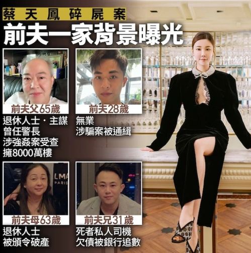 前夫，我有200斤的仇恨要与你清算——韩雨彤的逆袭之路（80集剧情大纲）