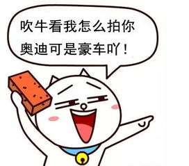 妈，我回来了（70集）