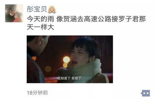 爱在狂风暴雨之后