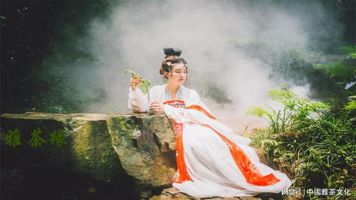窈窕淑女君总好逑（第85集）——潘欣懿的演绎之旅