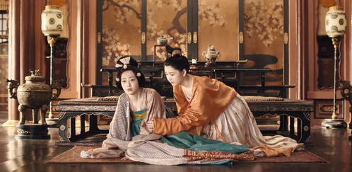 冷宫太子妃长篇，命运与爱恨交织的宫廷传奇