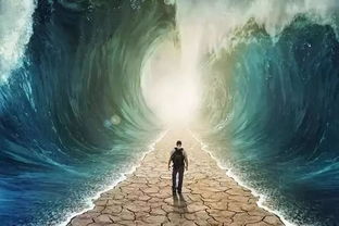 下一次再见（74集）——重逢的期盼与人生的交织