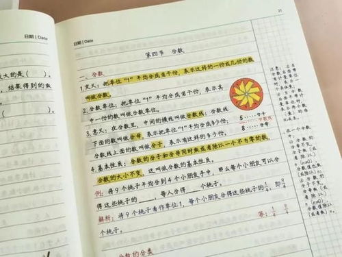 房东日记，生活的琐碎与情感的交织（80集深度解析）