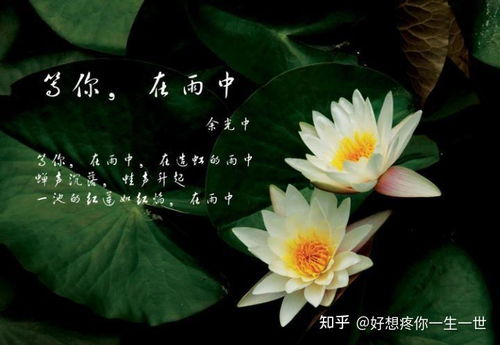 春雨无声（88集）
