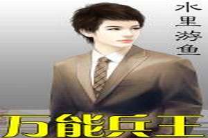 冰山总裁的神级保镖