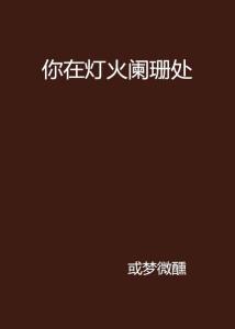 爱在灯火阑珊处（92集）