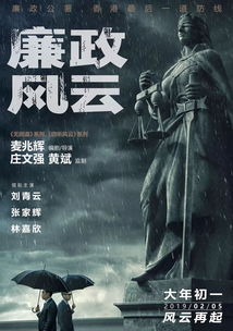 少帅请自重，权力与荣耀的80集风云激荡