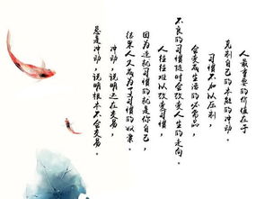 长风散尽终遇你（37集）剧情深度解析与感悟