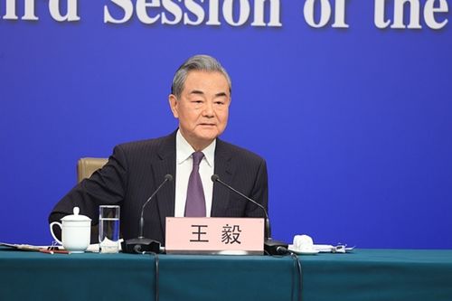 王毅所说的两面人究竟是谁？深度解析背后的真相